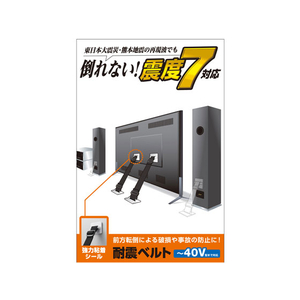 エレコム TV用耐震ベルト ～40V用 強力粘着シールタイプ 2本入 F023399-TS-001N2-イメージ2