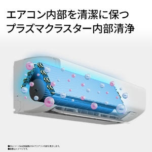 シャープ 「工事代金別」 8畳向け 冷暖房エアコン プラズマクラスターエアコン DGシリーズ AY-U25DGS-イメージ6