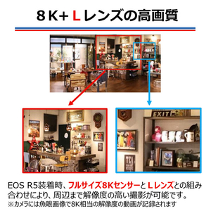 キヤノン 単焦点魚眼レンズ RFレンズ RF5228LDFE-イメージ5