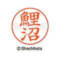 シヤチハタ ネームペン用ネーム シルバー 既製 鯉沼 FC46904-X-GPS-1133
