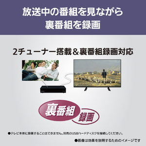 パナソニック 地上・BS・110度CSデジタルハイビジョン液晶テレビ 32V型 VIERA TV-32N50C-イメージ10