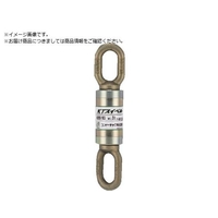 コンドーテック/KTスイベル KBS-101 1t 081A7KBS101 FC862VD-3872204