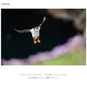 SONY Eマウント用レンズSEL400F45GM SEL400F45GM-イメージ10