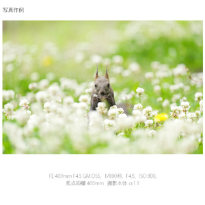 SONY Eマウント用レンズSEL400F45GM SEL400F45GM-イメージ11