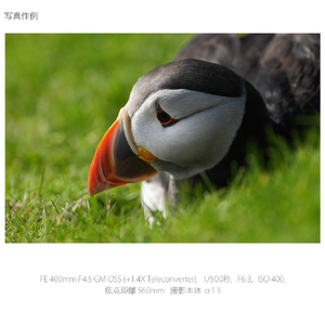 SONY Eマウント用レンズSEL400F45GM SEL400F45GM-イメージ15