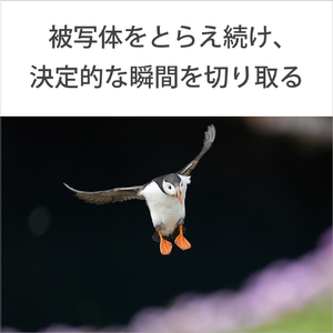 SONY Eマウント用レンズSEL400F45GM SEL400F45GM-イメージ7