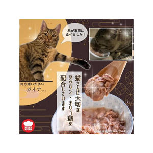 Ｆ＆Ｂｅｌｌ 朝市場 鰹の旨み ゼリー仕立て かつお 48g FC466SK-ASA30H-イメージ3