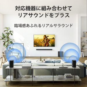 SONY リアスピーカー SA-RS8-イメージ3