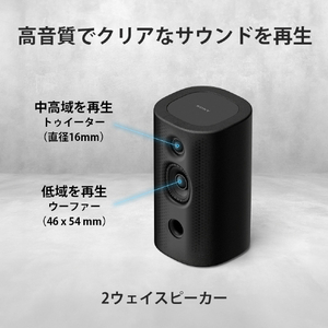SONY リアスピーカー SA-RS8-イメージ4