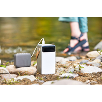 アイリスオーヤマ IBT-A60100-W バッテリーステーション