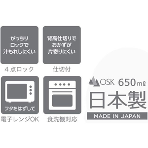 ＯＳＫ（オーエスケー） エナジーチャージランチボックス650mL FCB8634-PCD-650-イメージ5