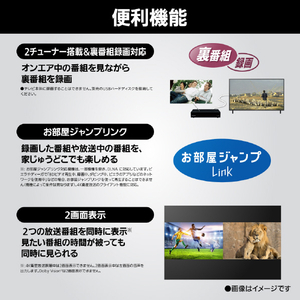 パナソニック 50型 4K対応液晶テレビ VIERA TV-50W80C-イメージ13
