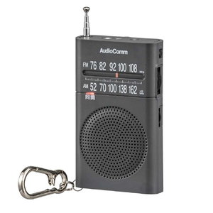 オーム電機 サウンドガードラジオ RAD-P219S-H-イメージ1