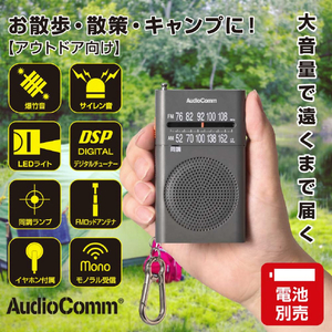 オーム電機 サウンドガードラジオ RAD-P219S-H-イメージ2