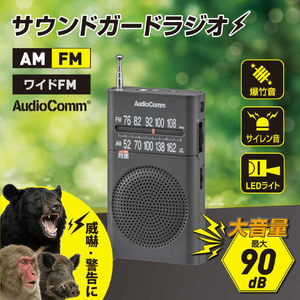 オーム電機 サウンドガードラジオ RAD-P219S-H-イメージ8