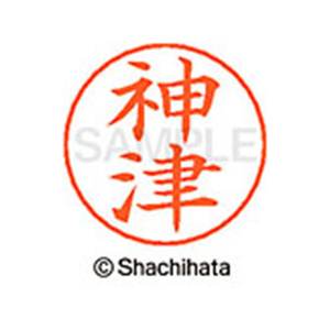 シヤチハタ ネームペン用ネーム シルバー 既製 神津 FC46909-X-GPS-1138-イメージ1
