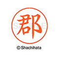 シヤチハタ ネームペン用ネーム シルバー 既製 郡 FC46912-X-GPS-1141
