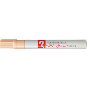 寺西化学工業 マジックインキNO.500細字 うす橙 10本 FCR9936-M500-T17-イメージ2