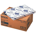 エプソン レーザープリンタ専用コート紙 A4 250枚 F814531-LPCCTA4