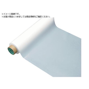 chukoh/フッ素樹脂 PTFE フィルム MSF-100 0.1t×300w×10m FCA671K-1057498-イメージ1