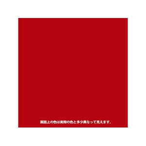 カンペハピオ ヌーロ あか 30ml FCB605M-イメージ2