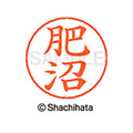 シヤチハタ ネームペン用ネーム シルバー 既製 肥沼 FC46913-X-GPS-1142