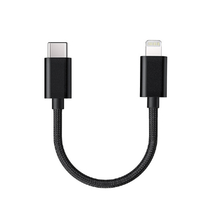FiiO OTGケーブル 8.0cm LT-LT1 FIO-LT-LT1 FiiO OTGケーブル 8.0cm LT-LT1 FIO-LT-LT1