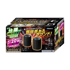ライソン TWSセパレートスピーカー KAASP-040B-イメージ2