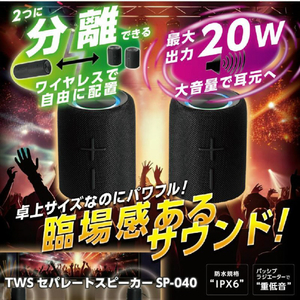 ライソン TWSセパレートスピーカー KAASP-040B-イメージ3