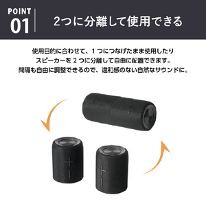 ライソン TWSセパレートスピーカー KAASP-040B-イメージ5