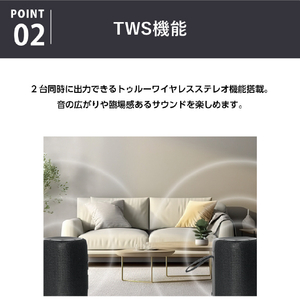 ライソン TWSセパレートスピーカー KAASP-040B-イメージ6