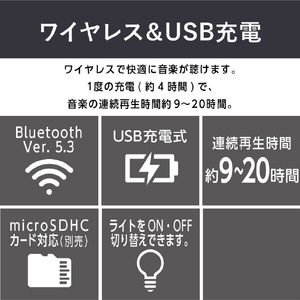ライソン TWSセパレートスピーカー KAASP-040B-イメージ9