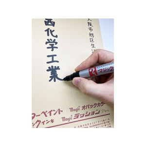 寺西化学工業 マジックインキ No.670 丸太字 赤 FC624RK-M670-T2-イメージ6