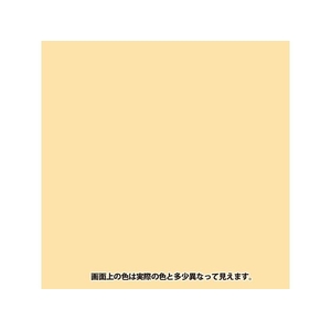 カンペハピオ ヌーロ アイボリー 30ml FCB607M-イメージ2