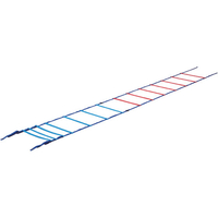トーエイライト TOEI LIGHT トーエイライト/カラースピードラダー FCJ811B-G1236