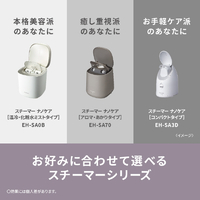 パナソニック EH-SA3D-C スチーマー ナノケア クリーム調|エディオン
