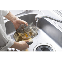 アイリスオーヤマ KRNS-P500 リンサークリーナー グレージュ