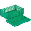 岐阜プラスチック工業 RSコンテナーRS-MM38(薄型折りたたみコンテナー) 緑 FC464GU-8362415