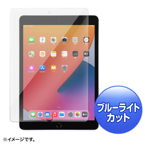 サンワサプライ 第8/7世代iPad10．2インチ用ブルーライトカット強化ガラスフィルム LCD-IPAD102GBC-イメージ1
