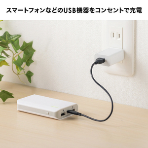 サンワサプライ USB充電器(1A) ホワイト ACA-IP86W-イメージ7