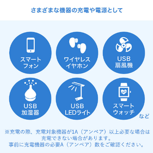 サンワサプライ USB充電器(1A) ホワイト ACA-IP86W-イメージ8