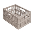 ＲＵＰ 折りたたみメッシュコンテナ 45L ライトサンド FC464GV-1956119