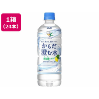 アサヒ飲料 おいしい水 天然水 からだ澄む水 600mL 24本 FC585YN