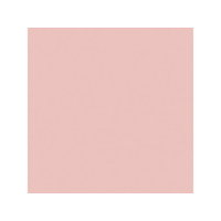 大王製紙 再生色画用紙 8ツ切10枚 うすもも CUD FCG752U