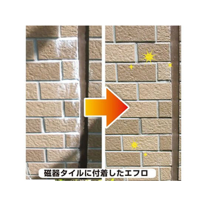 カンペハピオ 復活洗浄剤 エフロ用 100ml FCB725M-イメージ8