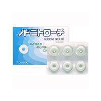 皇漢堂製薬 ノドニトローチ 24個 FCR6862