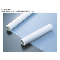 chukoh/フッ素樹脂 PTFE フィルム MSF-100 0.5t×500w×10m FCA679K-1057509