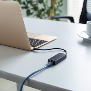サンワサプライ USB3．2Type-C-LAN変換アダプタ(2．5Gbps対応) USB-CVLAN6BK-イメージ5
