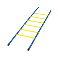 トーエイライト TOEI LIGHT トーエイライト/スピードラダー HG40-6m FCJ817B-G1271