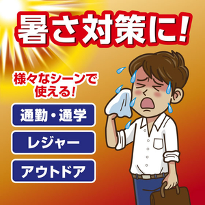 白元アース アイスノン 爆冷スプレー ミント 携帯用 95mL FCR3825-イメージ6